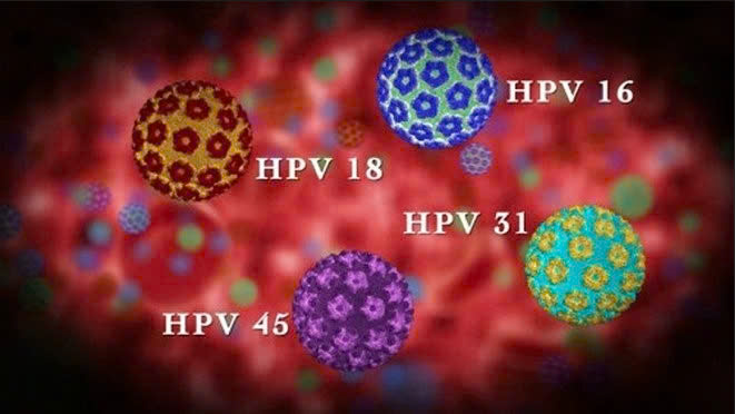HPV TYPES