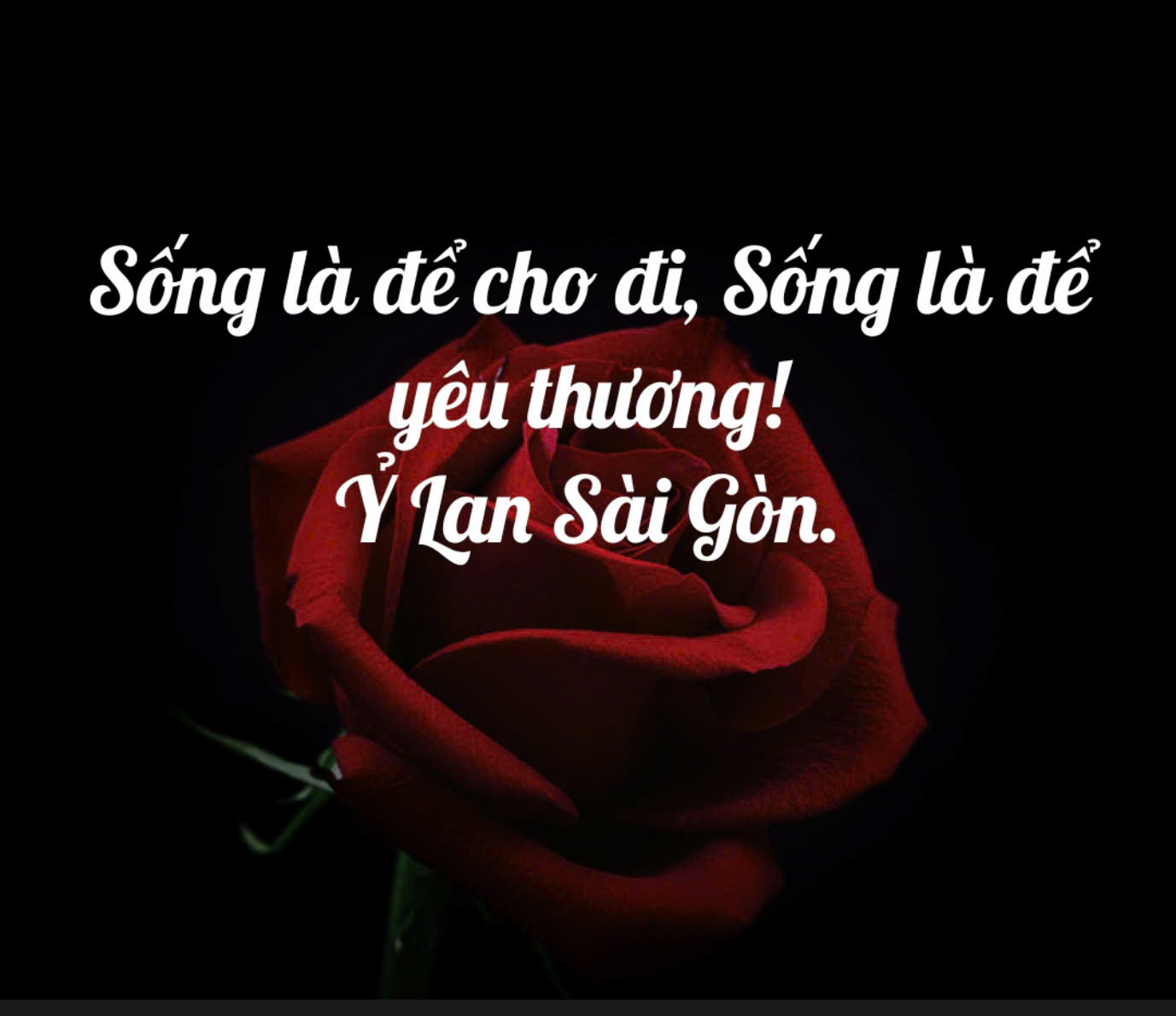 SỐNG LÀ ĐỂ CHO ĐI